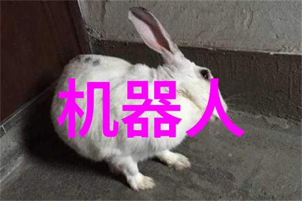 团队协作中的高效沟通成员之间怎样进行优势互补和缺陷弥补的测评