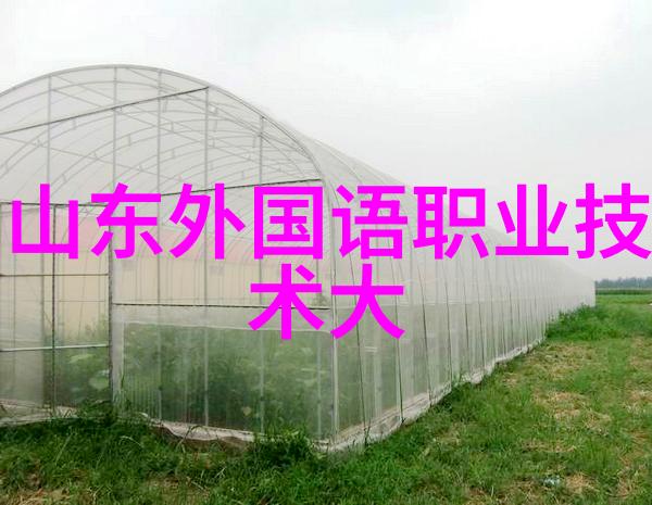 真空冷冻干燥设备我是如何让你的产品更加坚固的