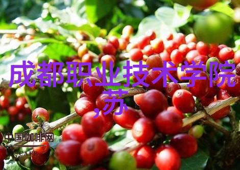 药品包装机器的未来发展方向