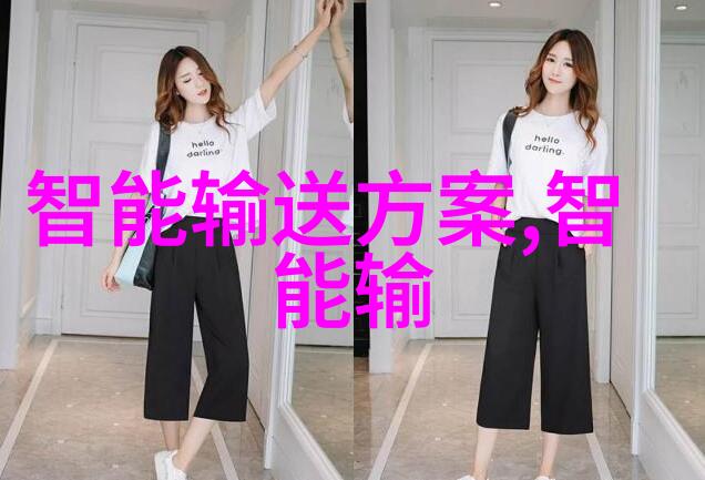 国内顶尖物流机器人公司如何应对未来技术与政策的挑战