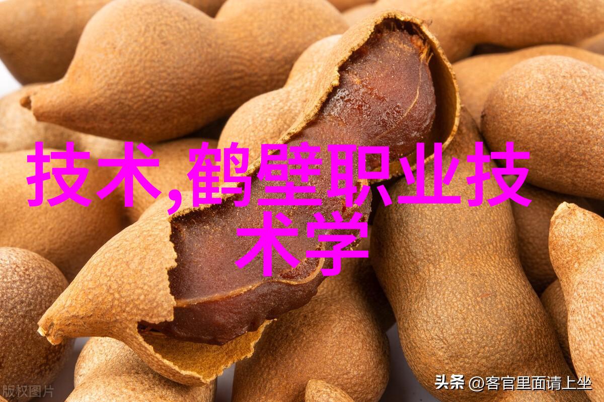 燃气蒸汽发生器的工作原理与应用广泛性