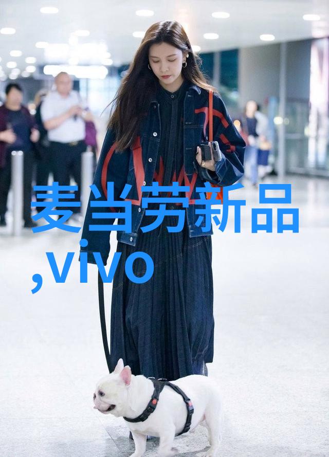 应对极端天气情况下京城智慧地铁运营策略是什么样的