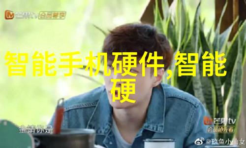 芯片革命华为新星辰升起