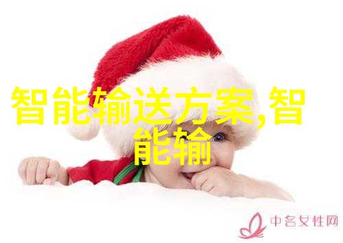 静态电子皮带秤