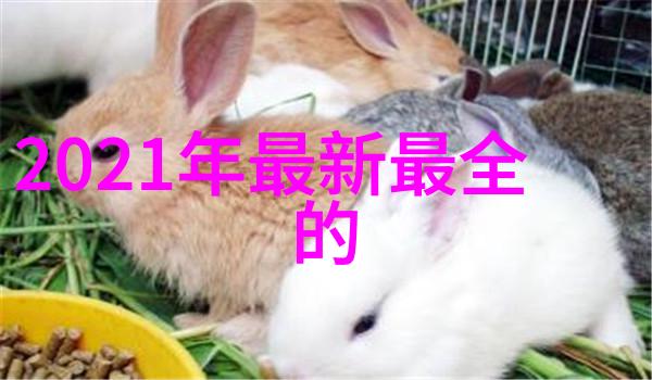 机械之心胶囊剂的精巧旋律