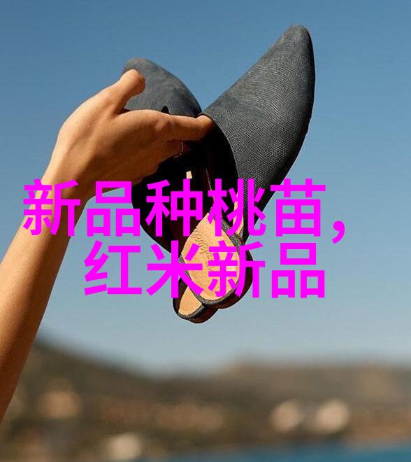 PE管子厂家专业生产高品质塑料制品的制造商