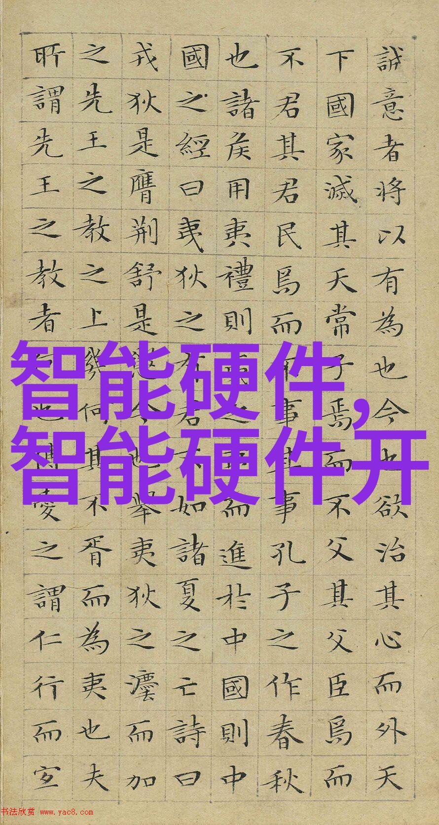 学校是否提供一些实习机会或合作企业让学生更好地融入社会