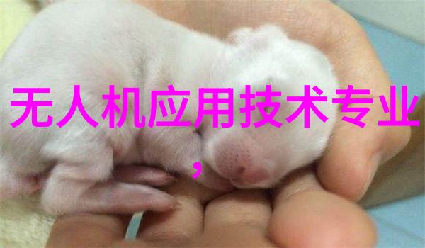 冷库制冷设备的选择与维护重要性