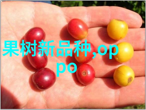 在这场双十一的盛宴上家电市场却呈现出一片安静的景象这背后隐藏着什么故事让我们揭开它去寻找那些真正能赚