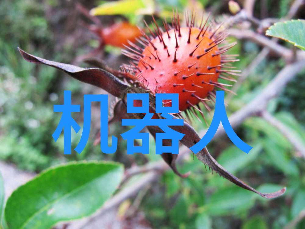 信用档案的秘密揭开征信报告的神秘面纱
