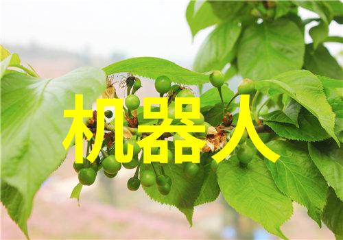 大连财经学院金融教育的新风尚