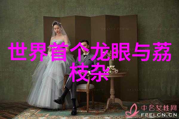 蒸汽发生器的工作原理简析