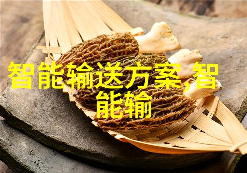 错题笔记朝俞的PLAY与自我超越