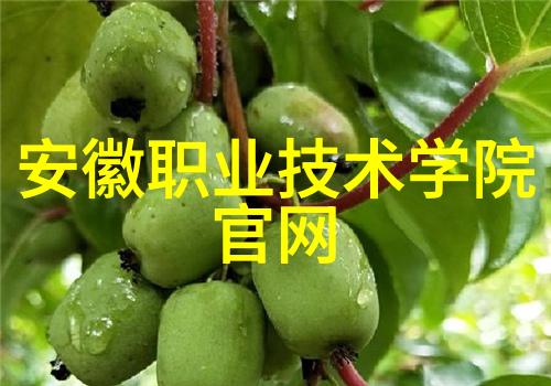 冰川之梦制冷设备有限公司的技术奇迹