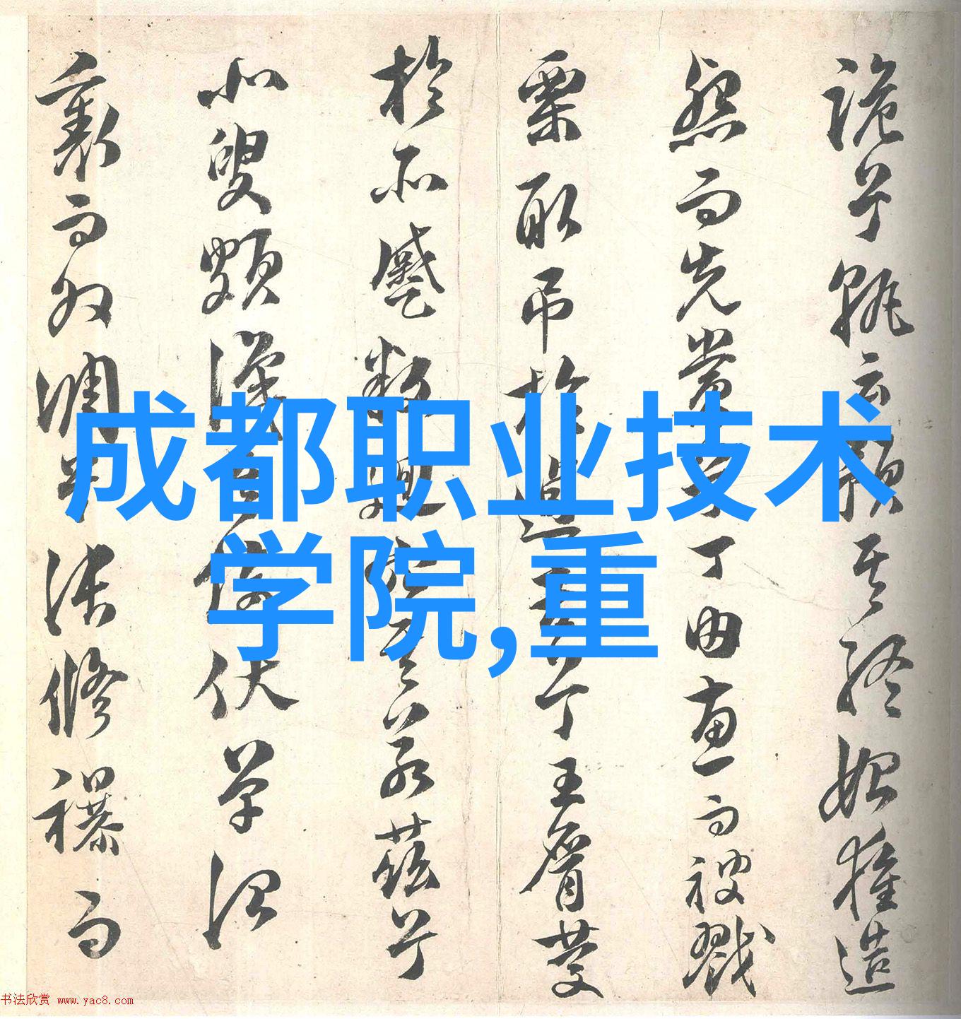 钢管材生产厂家守护工业基石的坚实承诺