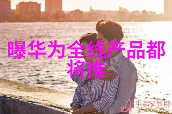 家翁与我的秘密