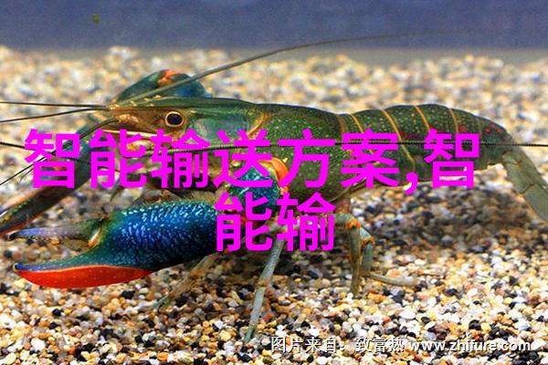 虚拟盛宴安卓市场APP的数字荒漠