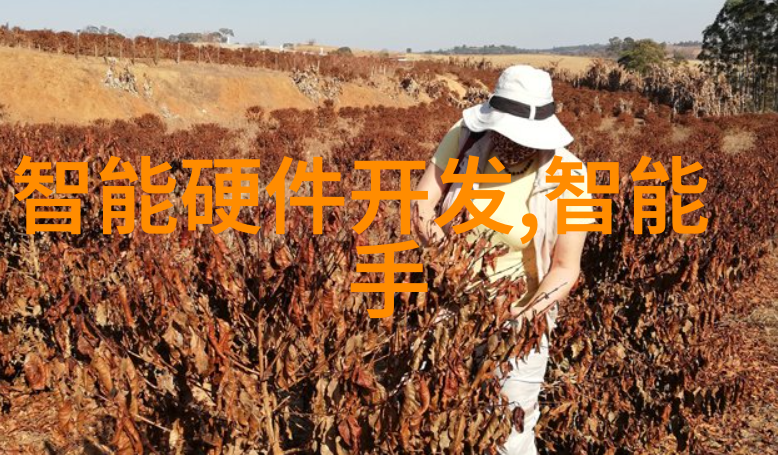 简化管理小型医院如何利用智能化的一体化设备提升服务质量
