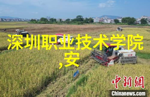美发工具大全专业级别的美发设备