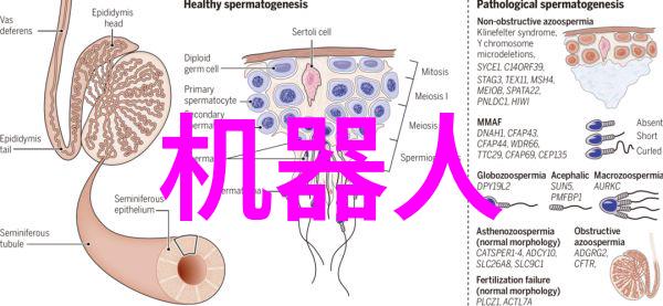黄瓜田间管理水分调控与病虫害防治技巧