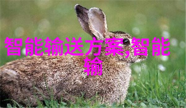 视频爆红伽罗疯狂输出引人瞩目