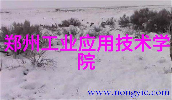 心理测试揭秘你真的了解自己的性格吗