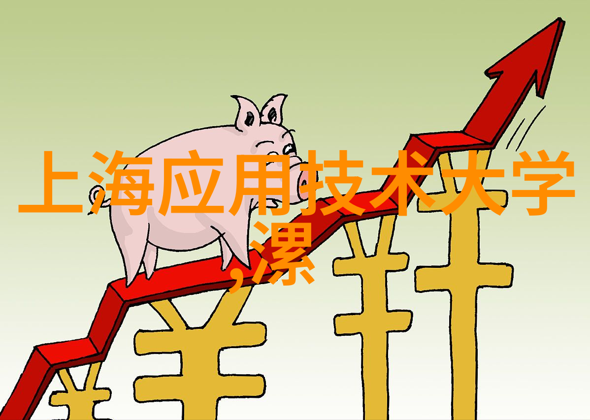 在进行财务分析时应该如何处理未来的不确定因素