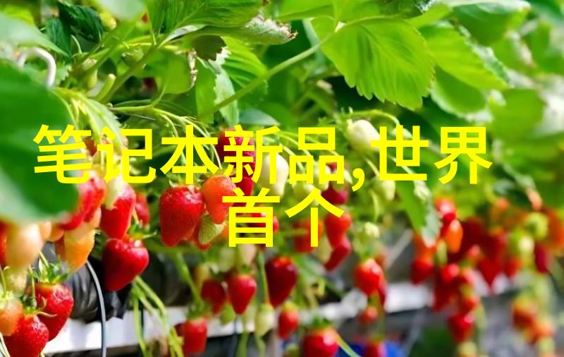 冷库管理-高效运行的关键冷库制冷设备的选择与维护