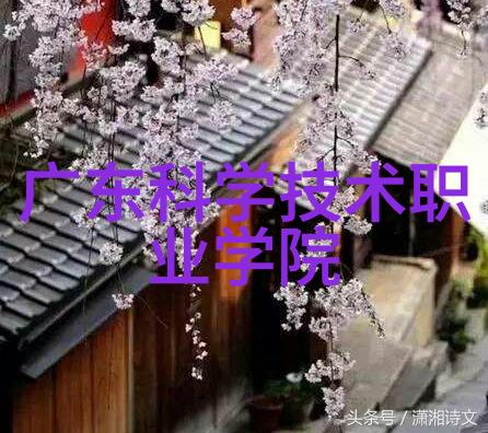 上海分離機如何处理不同类型的废水和废物