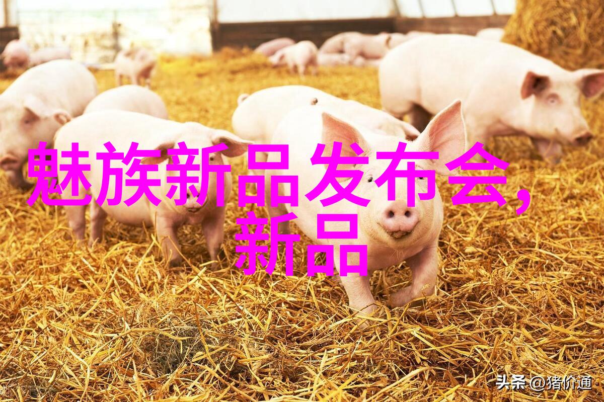 网络风云变幻数据安全新挑战与防范策略