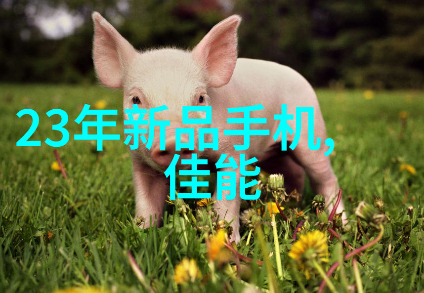 化学智慧迈新步智能化技术革新未来的实验室
