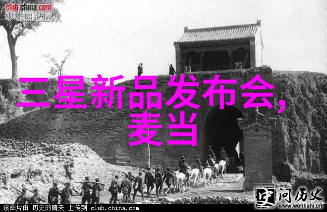 二手杀菌锅的转变从日常厨房到新生故事的温床