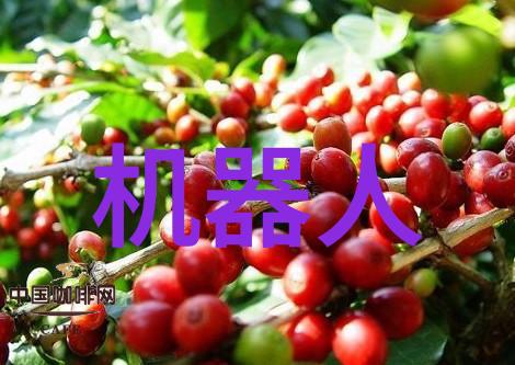 苹果秋季新品发布会 - 创新不眠揭秘苹果最新一代智能手机