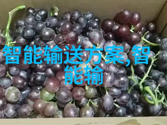 振动料斗系统高效稳定物料输送解决方案