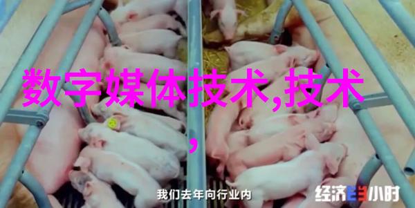 智能摄像头网络机器视觉技术的实时监控系统