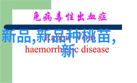 排水管材奇观从古老土砖到未来超轻材料的逆袭之旅