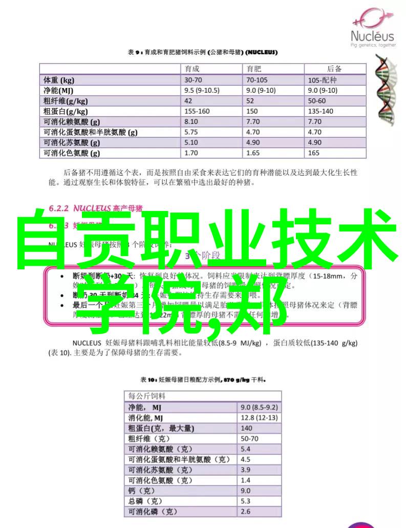 清洁设备机器的守护者与环境的使者