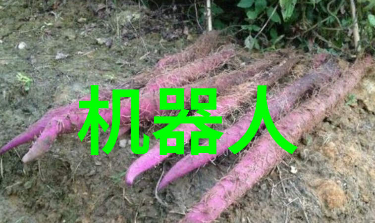 医疗设备 - 高效无害自动高压蒸汽灭菌器在医院消毒中的应用