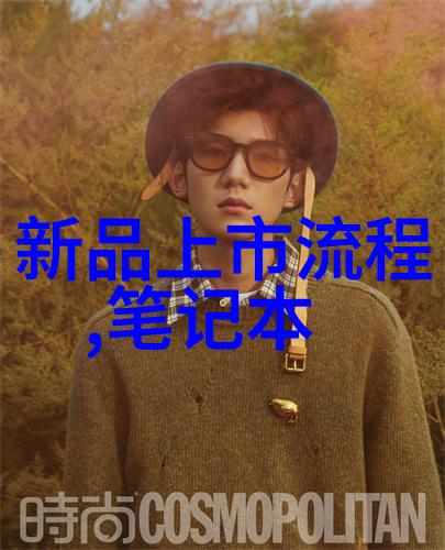 高效消毒新时代超高温瞬时灭菌机革新卫生标准