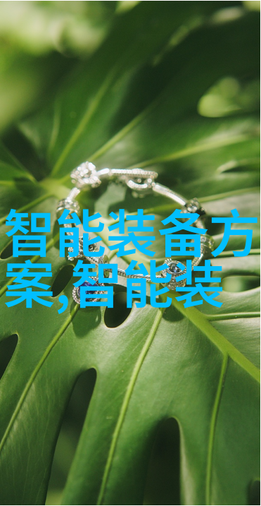 应用什么样的格式来组织和展现我的经验和技能呢