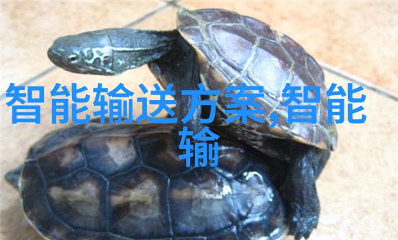 主题我来告诉你三类医疗器械公司注册要求的门路