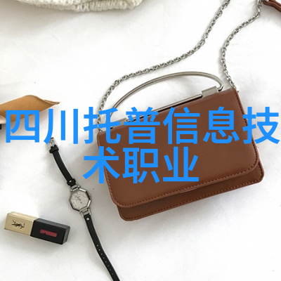 红楼梦中的丑奴儿形象与其社会背景的探究