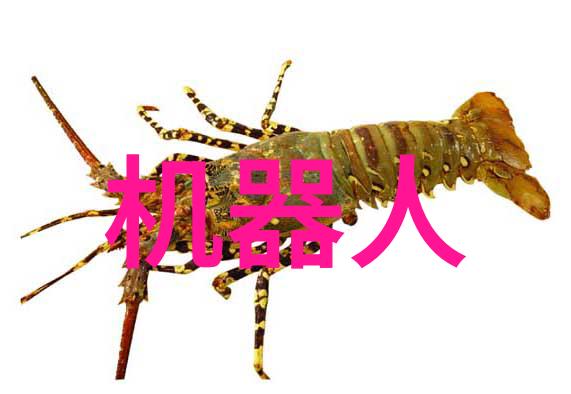 华为新品发布闪耀未来全闪存技术革新