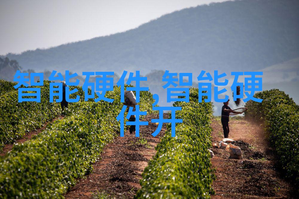 工艺之美不锈钢手工艺品的独特魅力