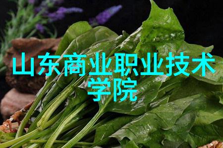 柳州铁道职业技术学院推动安全自动化智能家居发展语音控制成为社会关注的焦点