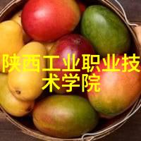 电蒸汽发生器的秘密蒸箱中的未解之谜