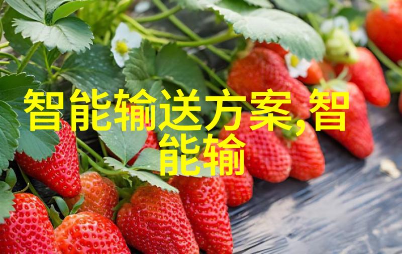 为何选择小型污水处理系统而非传统方式
