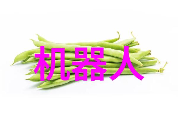封箱机包装效率的关键技术与创新应用