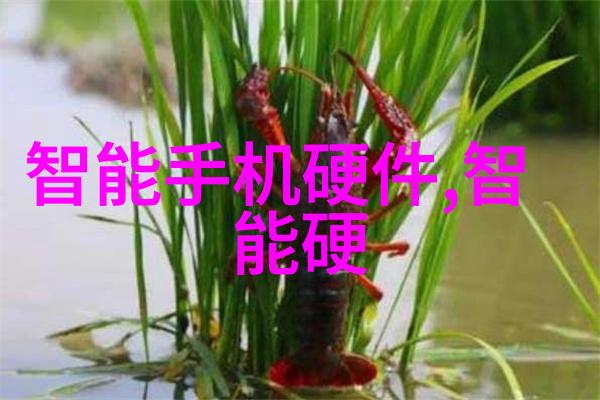 塑料水管价格6分每米的经济实惠选择