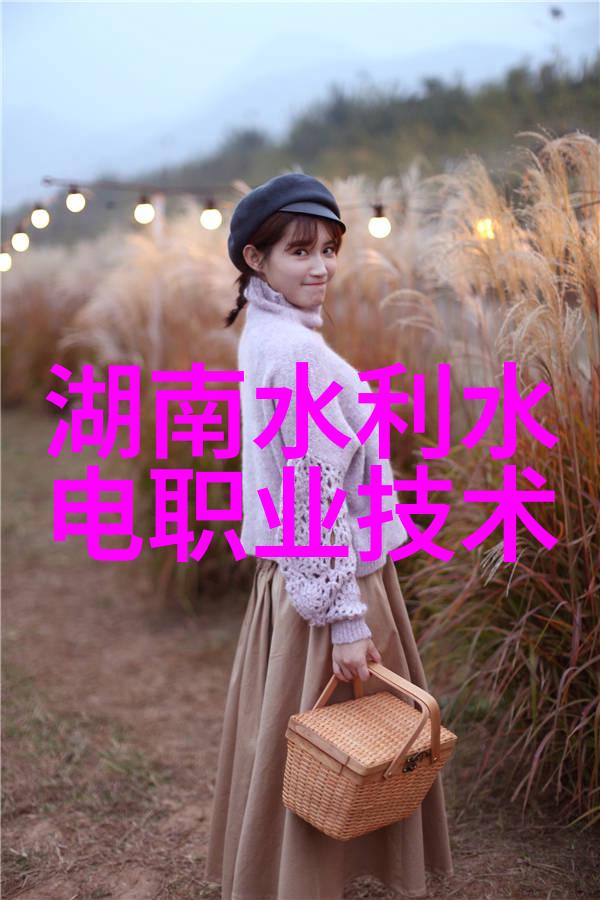 当前市面上哪些股票被认为是领先的光刻设备制造商